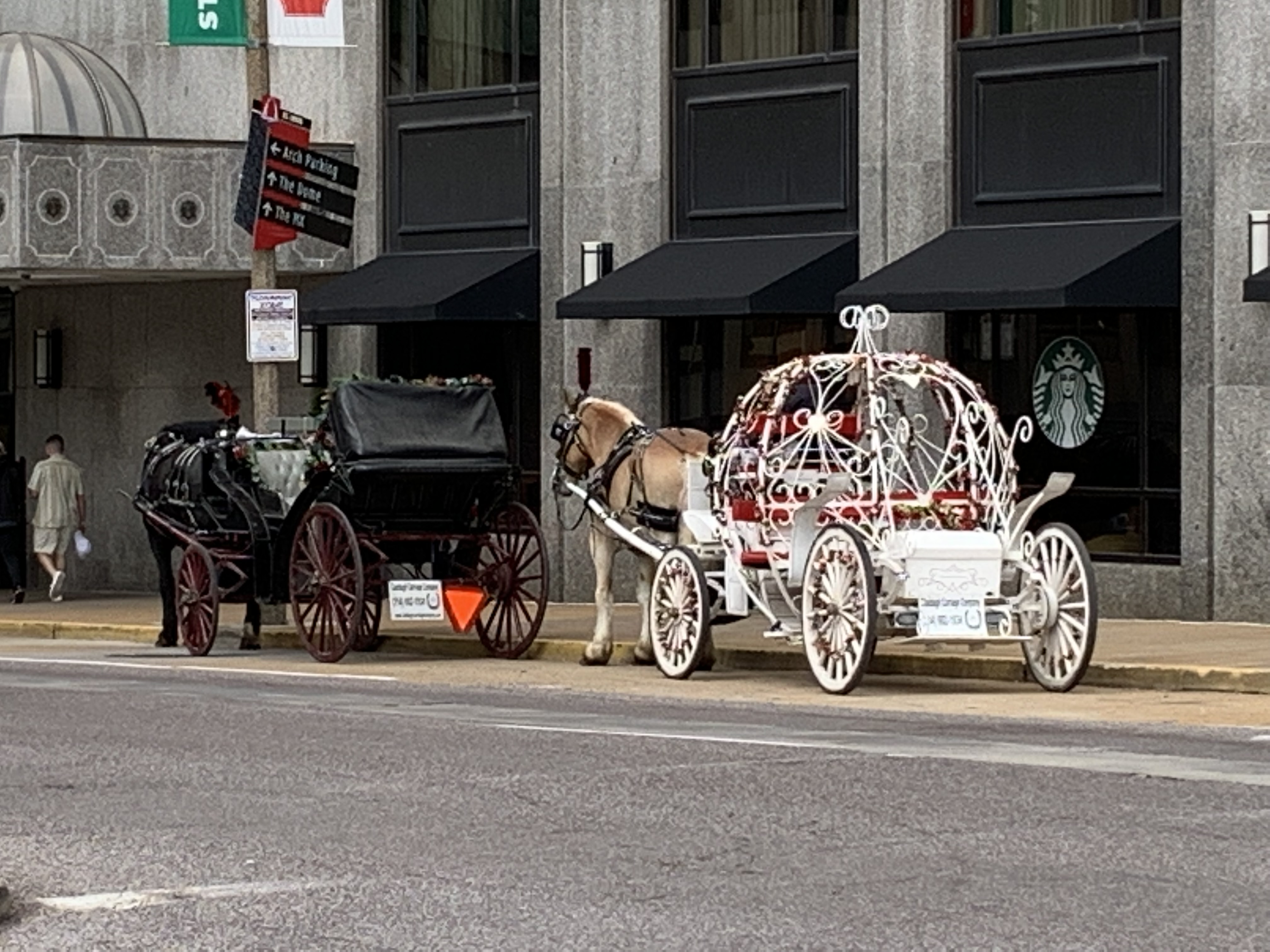 ./2022/06 - St Louis/02 - Day 2/20220522-155845366.JPG